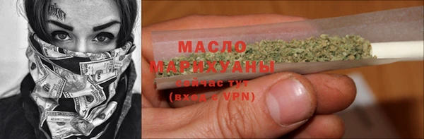 гашик Няндома