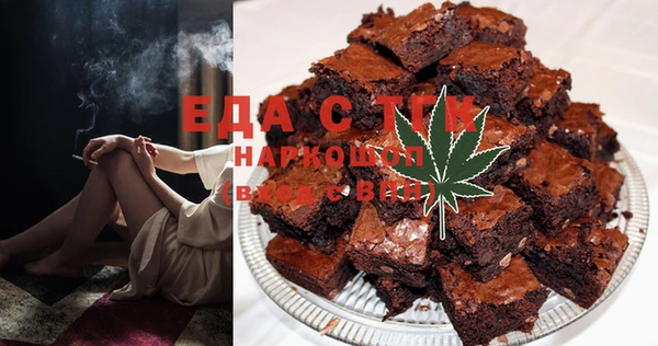 гашик Няндома