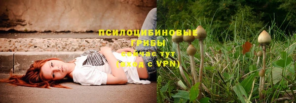 гашик Няндома