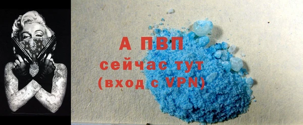 гашик Няндома
