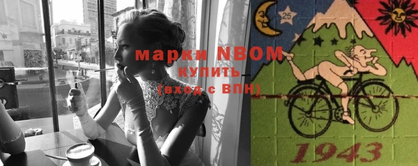 гашик Няндома