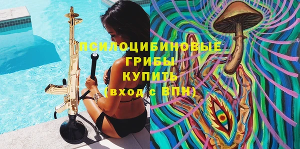 гашик Няндома