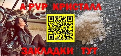 стаф Берёзовский