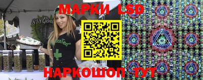 стаф Берёзовский