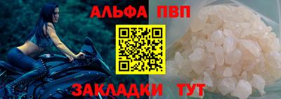 стаф Берёзовский