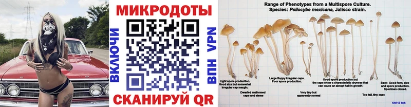 наркотики  Лосино-Петровский  гидра вход  сайты даркнета официальный сайт  Псилоцибиновые грибы MAGIC MUSHROOMS 