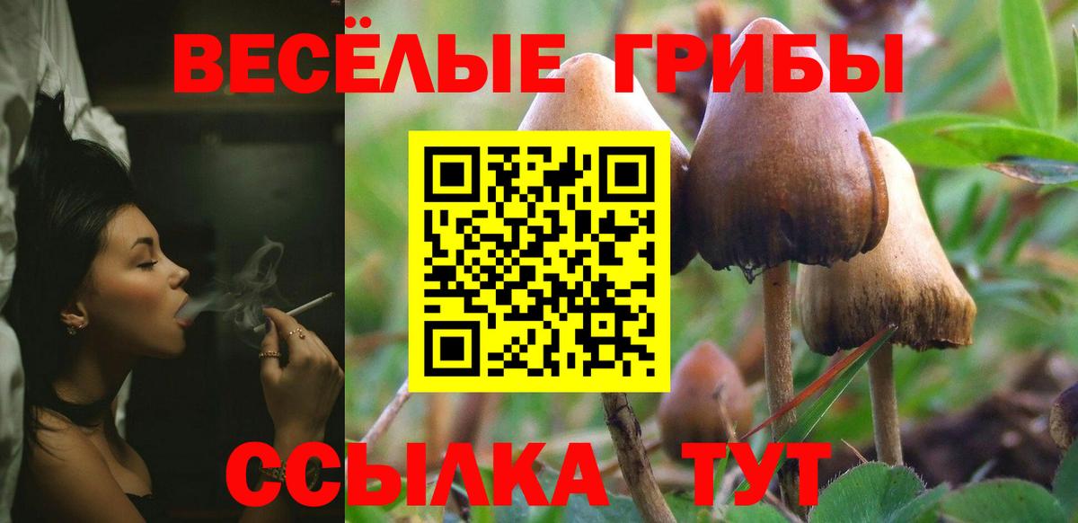 Лосино-Петровский  Галлюциногенные грибы прущие грибы  Галлюциногенные грибы ЛСД  Вход с VPN 
