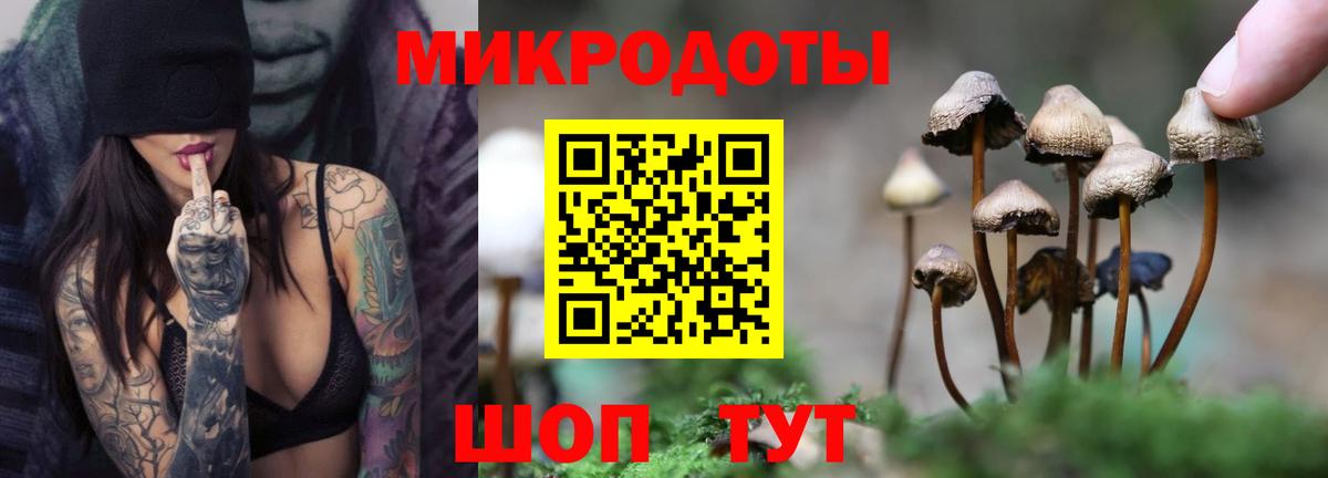 Галлюциногенные грибы ЛСД  Псилоцибиновые грибы MAGIC MUSHROOMS  Лосино-Петровский 